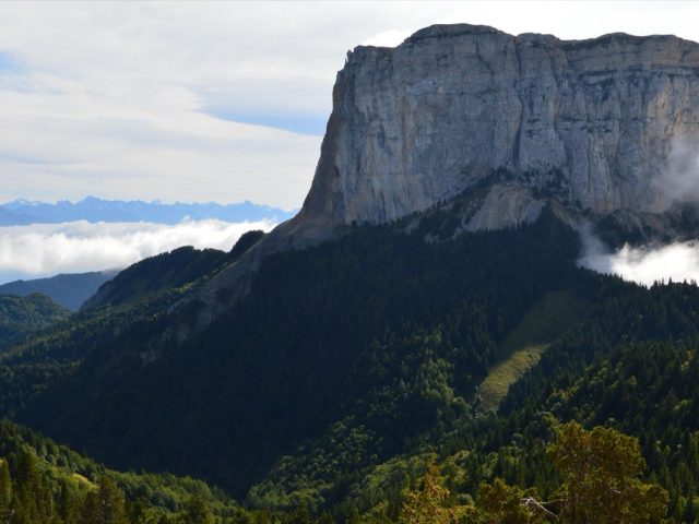 Réparations rapides en cas de candidose