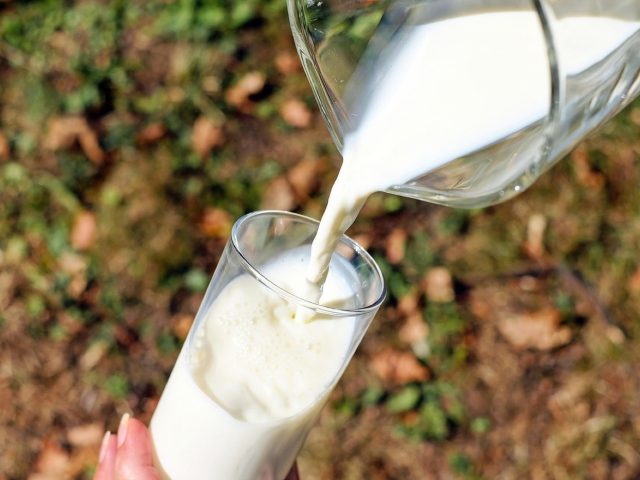 Guide repas équilibrés compatibles avec traitement de candidose