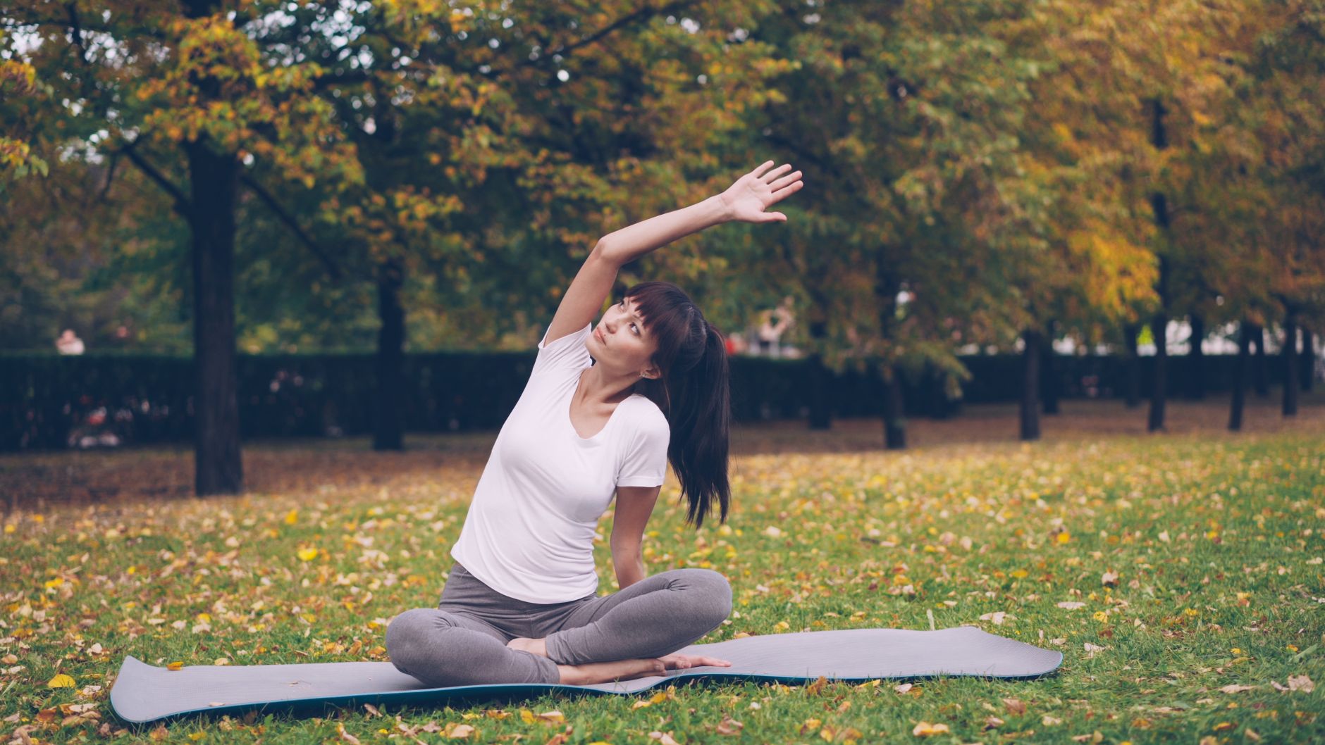Comparatif aspirateurs pour personnes sensibles aux moisissures