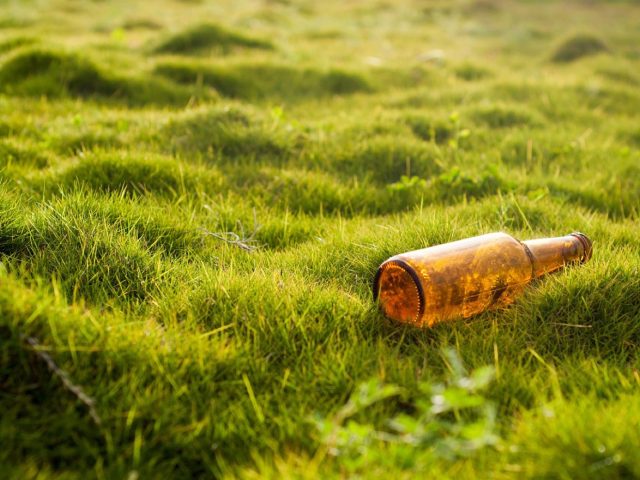 Yakult : avis et utilité des boissons probiotiques